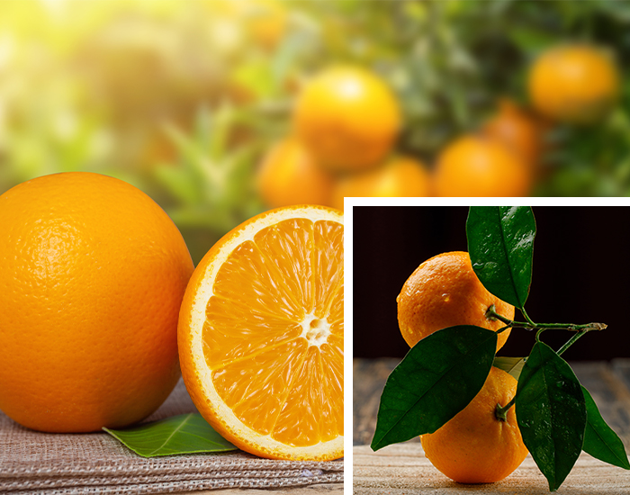 fruit juice vending machine